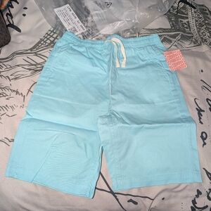 FabKids Light Blue Boys Shorts